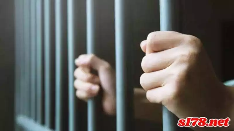 玩娛樂城被抓